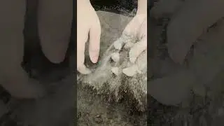 #softcement#softcrumble#softdirt #relax #charcoal #satisfying #finedirtcrunch #oddlysatisfying