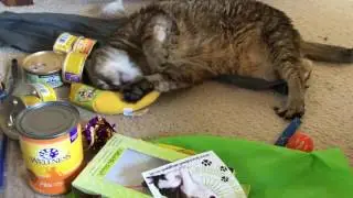 BlogPaws Swag