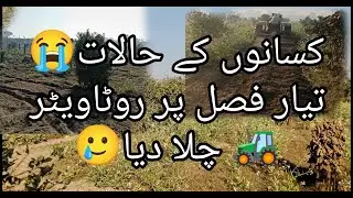 Tayar fasal pr Rotavator Chala diya(Farmer in Pain: Ready Crop Destroyed Due to Low Rates)