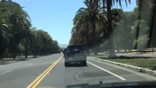 Palm Drive, Stanford University