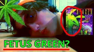 What is FETUS GREEN?