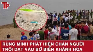 Sáng 27/1: Rùng mình phát hiện chân người trôi dạt vào bờ biển Khánh Hòa, hé lộ manh mối về nạn nhân