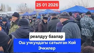 ОШ УЧКУН МАЛ КОЙ БАЗАР 25 Январь 2026 жыл Сатылган Кой Эчкилер #базар #видео #рекомендации 