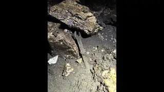 Petrova jama i stinska vježba