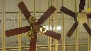 Ceiling fans at Hagerstown home depot part 1