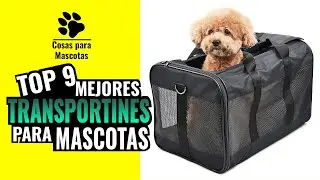 🐶 🐱 Los 9 MEJORES TRANSPORTINES para mascotas de Amazon | C&oacute;mo llevar a nuestra mascota de viaje.