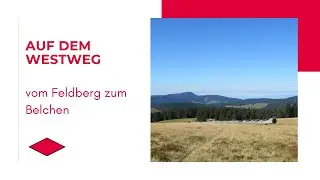 Auf dem Westweg vom Feldberg zum Belchen ￼