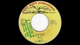 Malibu - Push Wood ++