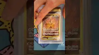 How Many BGS Black Labels?? Pokemon VSTAR Universe Graded Return