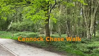 Cannock Chase Walk May 2023, Brindley Heath Road To RAF Hednesford Air Base + Squirrel Footage