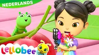 Rupsje-Vlinder-lied | Lellobee Nederlands | Kinderliedjes | Leervideo's voor kinderen