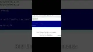 Demonstration of program execution and output