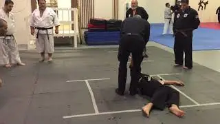 Gun Defense - Martial Arts - Bradley Karate Studio, Lancaster PA - Dr. Fred Waters - Teaching