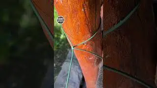 Simple But Strong! Metal Wire Knot for Your Farm Fence  #shorts