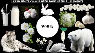 LEARN COLOUR SERIES &ndash; WHITE | Learn Colours with Tamashree & Sreyanshi | Kids Colour Learning Video