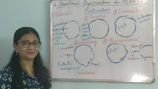 Flower - Aestivation - Structural Organisation in Plants