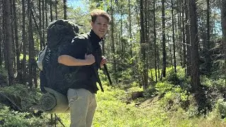 50 Timer I En Svensk Skov!