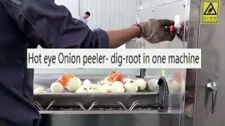 Hot eye onion peeler dig root in one machine vegetable fruit peeling machine food machine#onionpeel