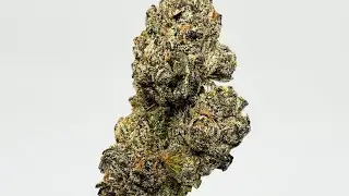 Melon Berry Strain Review : StrainAfterStrain 