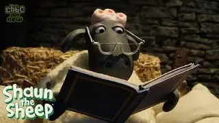 Shaun The Sheep Full Movie | Shaun The Sheep Full Episodes 71 80 | Shaun The Sheep Terbaru