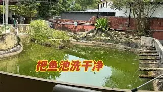 鱼池洗干净，我要养Kampolo 到时候一定很美