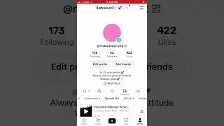 TikTok mashup 2023