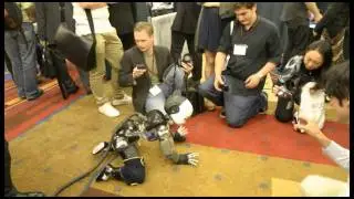iCub crawling at the IROS 2011 exhibition