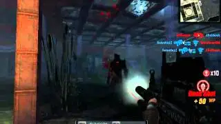 WolfTeam Headshots in Cage (WolfHuntC) by RelentlezZ