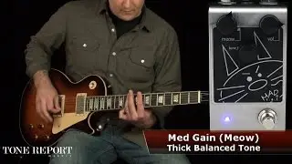 Guitartech Mad Cat Overdrive/Distortion