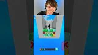 Minecraft COLOR MATCH