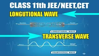 Transverse & Longitudinal Waves | Waves | Physics | FuseSchool