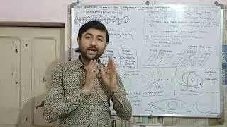 Loop Quantum Gravity for Everyone - Chapter - 2 - Gravitation
