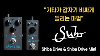 &ldquo;기타가 갑자기 비싸게 들리는 마법&rdquo; I 「Suhr Shiba Drive & Shiba Drive Mini」