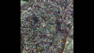 Strip glitter from China glitter supplier