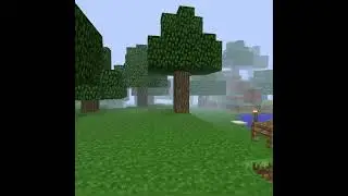 Memories