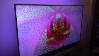 Philips Ambilight 65PUS7304 Android Smart TV ( BEST TV IN 2020 !!)  PURCHASE LINK IN DESCRİPTION!!