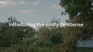 Birdfy OrniSense | Не просто определение птиц &mdash; этот искусственный интеллект на базе LLM расскаже...