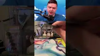 $1000 Card Pull Perfectly Cut Scream