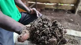 Making biofertilizer with locally sourced materials