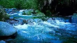 🍃 Crystal Clear River ASMR Sounds for Deep Relaxation, Sleep & Mental Clarity