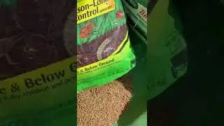 Insect Control #insects #insectcontrol #bug