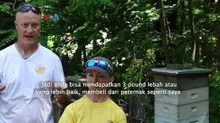 Susah Nggak Ya: Beternak Lebah Madu
