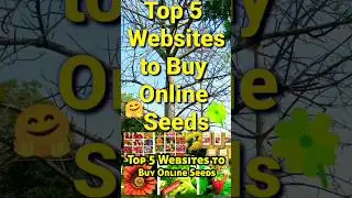 🌼🌼Топ-5 сайтов для покупки семян онлайн в Индии🌼🌼 #садовыежелания