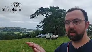 Osprey nest building at The Sharpham Trust