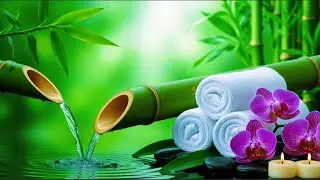Relaxing Music for Deep Sleep 🌿Soothing Bamboo Water Sounds & Relaxing Nature Ambience for Calm Mind