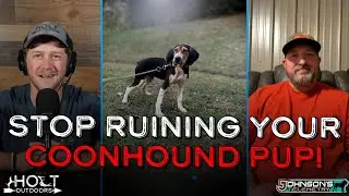 Stop Ruining Your Coonhound Pup - Common Mistakes & Training Tips!