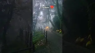 Landour A place where love exists #shorts #youtubeshorts #mussoorie