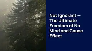 Chapter 6   Not Ignorant     The Ultimate Freedom of No Mind and Cause Effect