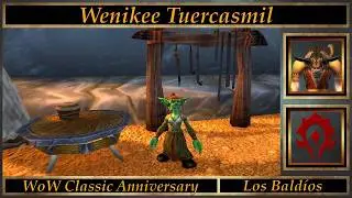 Wenikee Tuercasmil // World of Warcraft 20th Anniversary