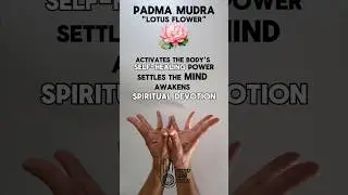 Padma Yoga Mudra | Benefits | Lotus Flower | Hand Gesture
